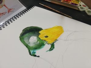 Cursuri de pictura si desen Pitesti